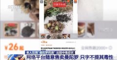<b>扣问该商品能否有毒时</b>