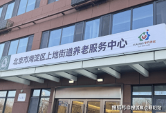 复古粉饰取保守纹样